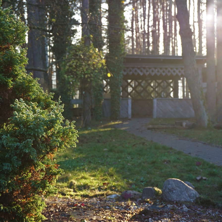 Žaliuojanti Valdorfo darželio lauko erdvė miško apsuptyje Vilniuje Lazdynėliuose saulėtą vakarą.